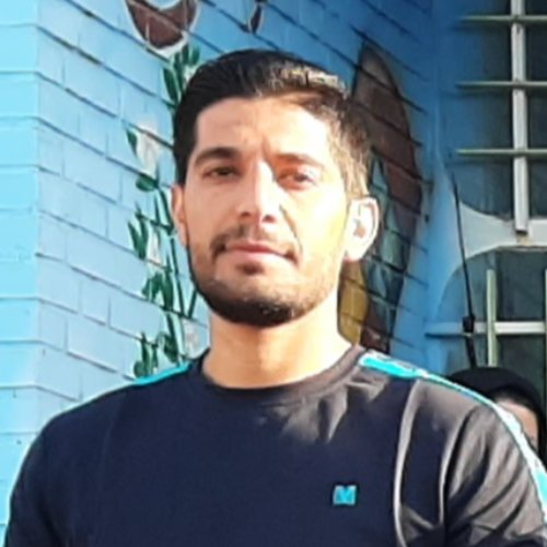 محمود نجفی